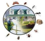 Household Pest Control Service