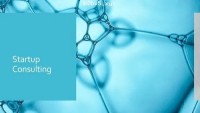 Business Startup Consulting Service